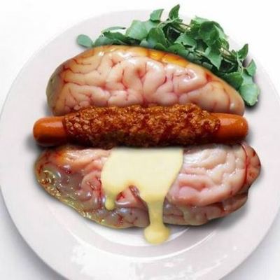 Timeline: Bizarre Foods Around the World