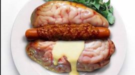 Timeline: Bizarre Foods Around the World