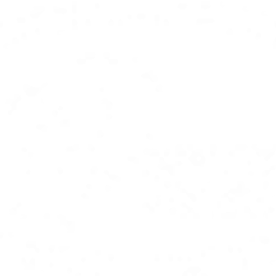 Timeline: Historia del Grupo Ortiz