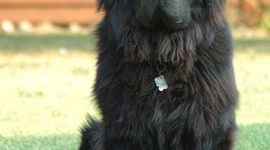 Timeline: Thunder from the Sea