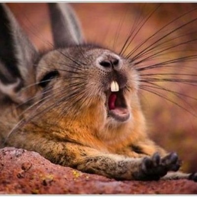 Timeline: Life of Thomas