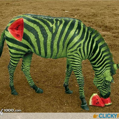 Timeline: 15 Most Important Events In Westen Civilizations.