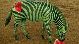 Timeline: 15 Most Important Events In Westen Civilizations.