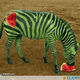 Hybrid animals made with photoshop 2