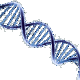 Dna helix