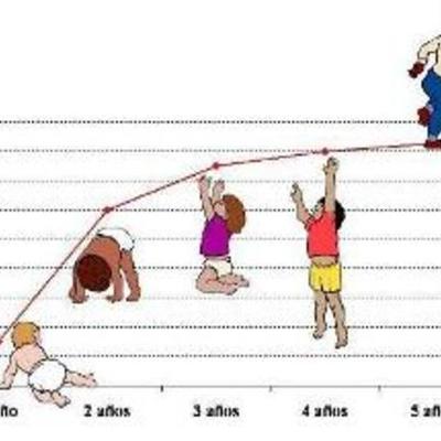 Timeline: Procés de creixement d'una nena.