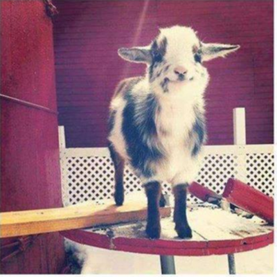 Timeline: De ontwikkeling van de Nederlandse staat