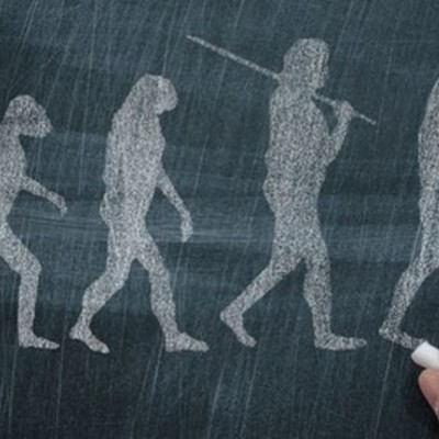 Timeline: Homínidos- Historia y cronología