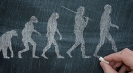 Timeline: Homínidos- Historia y cronología