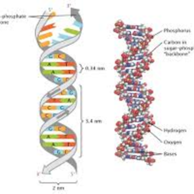 Timeline: DNA Timeline