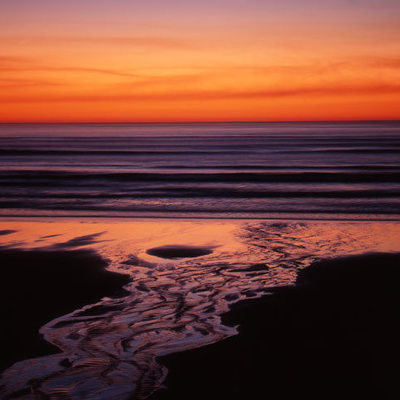 Timeline: Willapa Bay Salmon Management Policy