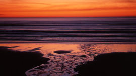 Timeline: Willapa Bay Salmon Management Policy