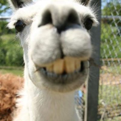 Timeline: worldwar22