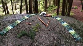 Timeline: Watershed Discipleship Ministry