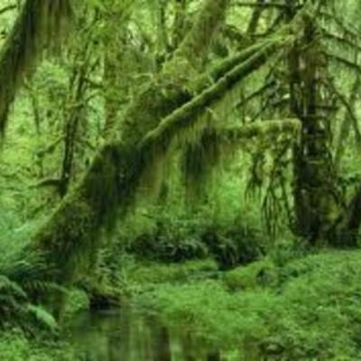 Timeline: Ten New Species of 2014