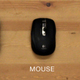 Mouse evolution