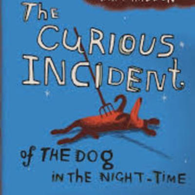 Timeline: The curious incident of the dog in the night-time_Anna, Sonja, Kathrin