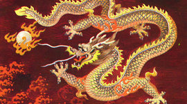 Timeline: Carley Conover Timeline