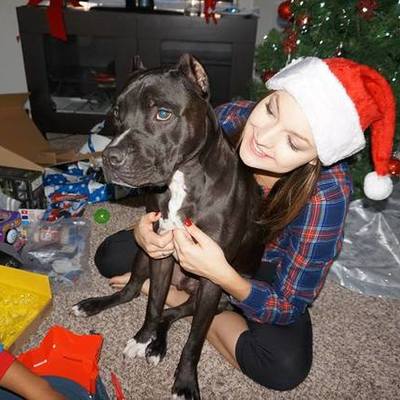 Timeline: Jennifer Marie Gardner In the Making