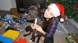 Timeline: Jennifer Marie Gardner In the Making