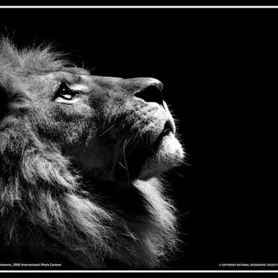 Timeline: World war 2