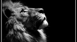 Timeline: World war 2