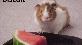 Timeline: Financial Timeline