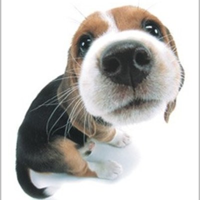 Timeline: Primera Linea del tiempo