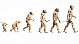Timeline: Evolutionary Theory Development