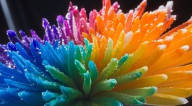 Timeline: The truth about Stalingrad