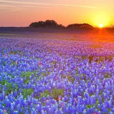 Timeline: Texas History Timeline!