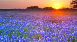 Timeline: Texas History Timeline!