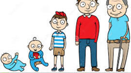 Timeline: Life in progress