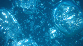 Timeline: COMPETICIONES APNEA