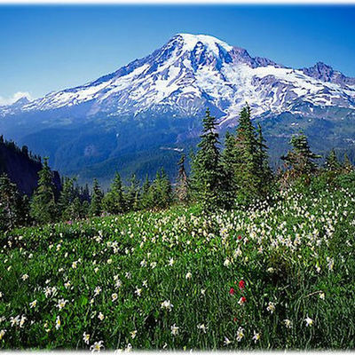 Timeline: Pacific Northwest History