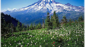 Timeline: Pacific Northwest History