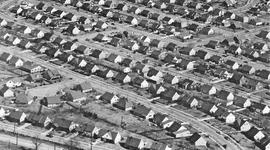 Timeline: American Culture in the 1950s