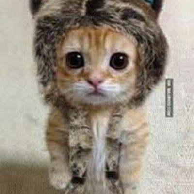 Timeline: Stacey Pierre