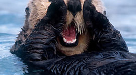 Timeline: *glamour shot*