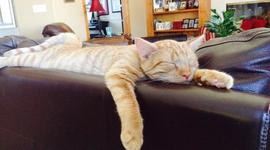 Timeline: Abigail Bowser's Social Development Timeline