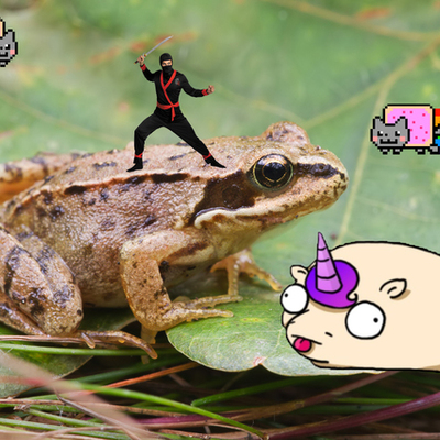 Timeline: ruimtevaart