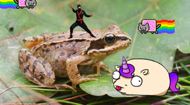 Timeline: ruimtevaart