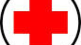 Timeline: Medical Milestone Timeline