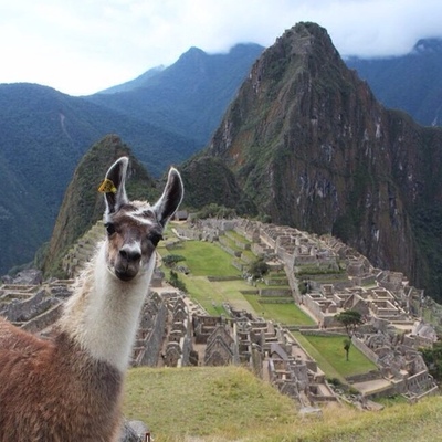 Timeline: Revolution of Peru