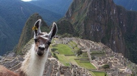 Timeline: Revolution of Peru