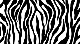 Timeline: Julia Ratayczak