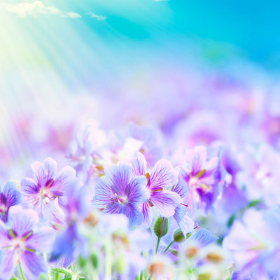 Timeline: Connecting us