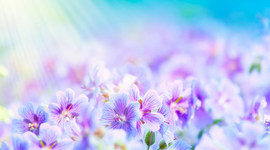 Timeline: Connecting us