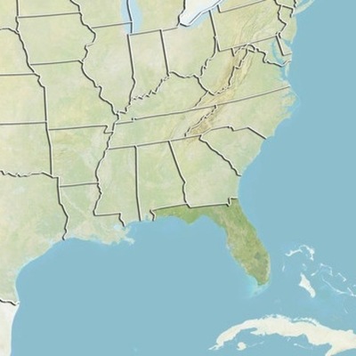 Timeline: One story of Florida...