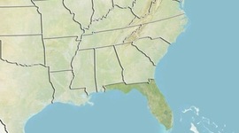 Timeline: One story of Florida...